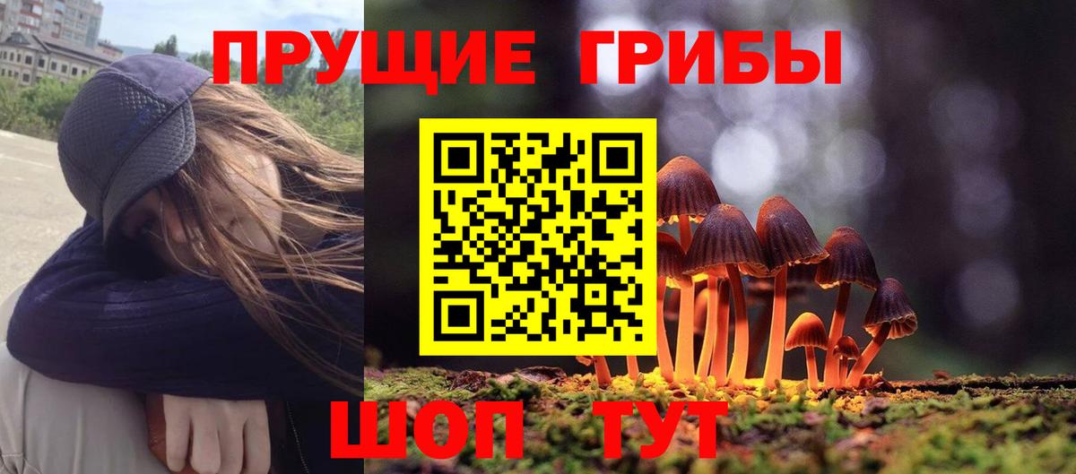 Псилоцибиновые грибы мицелий Кизляр