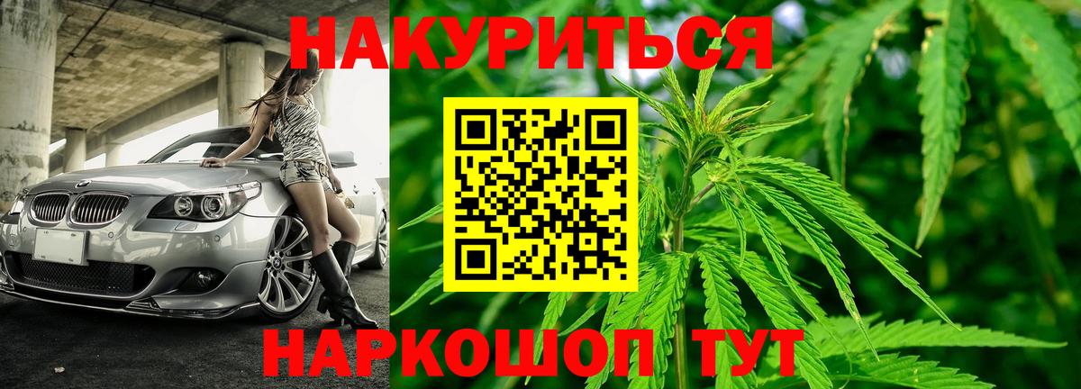 Канабис конопля Кизляр